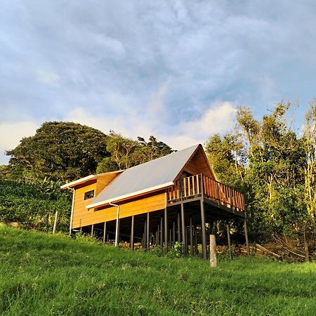 Cabana Indira Monteverde Extérieur photo